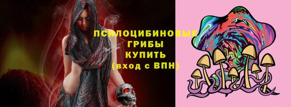 сатива Магас