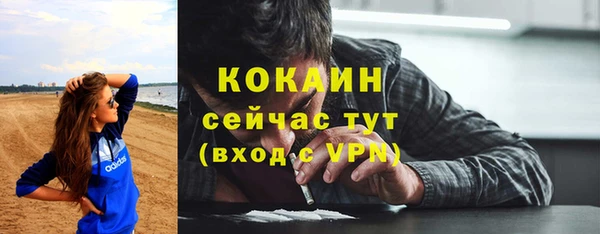 сатива Магас