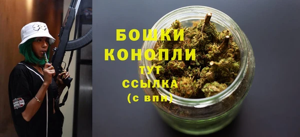 сатива Магас