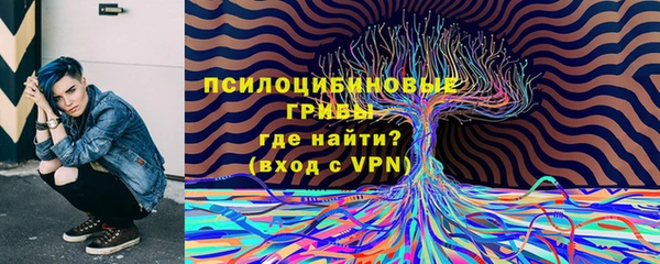 ПСИЛОЦИБИНОВЫЕ ГРИБЫ Магадан