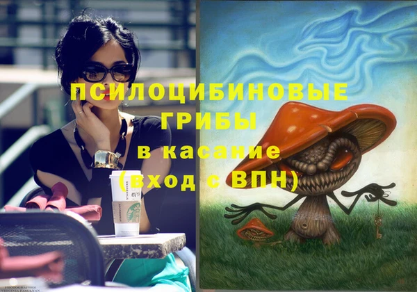 сатива Магас