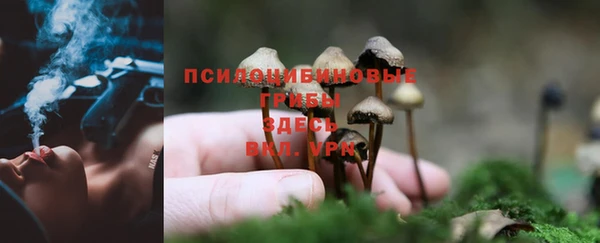ПСИЛОЦИБИНОВЫЕ ГРИБЫ Магадан