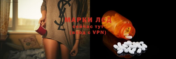 сатива Магас