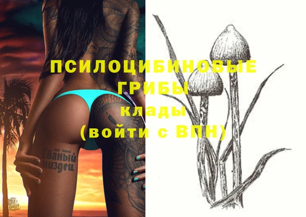 метамфетамин Майский
