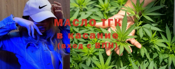 сатива Магас