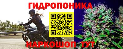 амф Аргун
