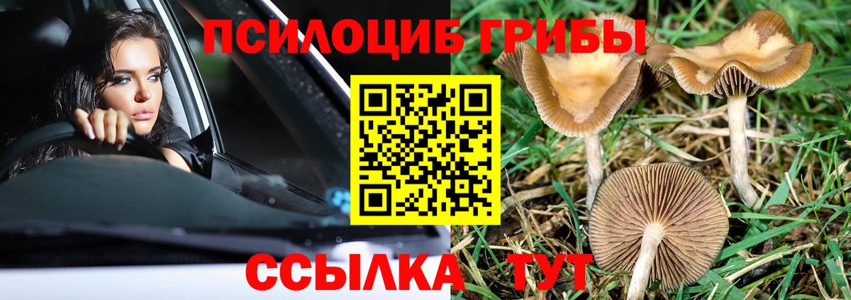 Галлюциногенные грибы GOLDEN TEACHER  Псилоцибиновые грибы GOLDEN TEACHER  Большой Камень 